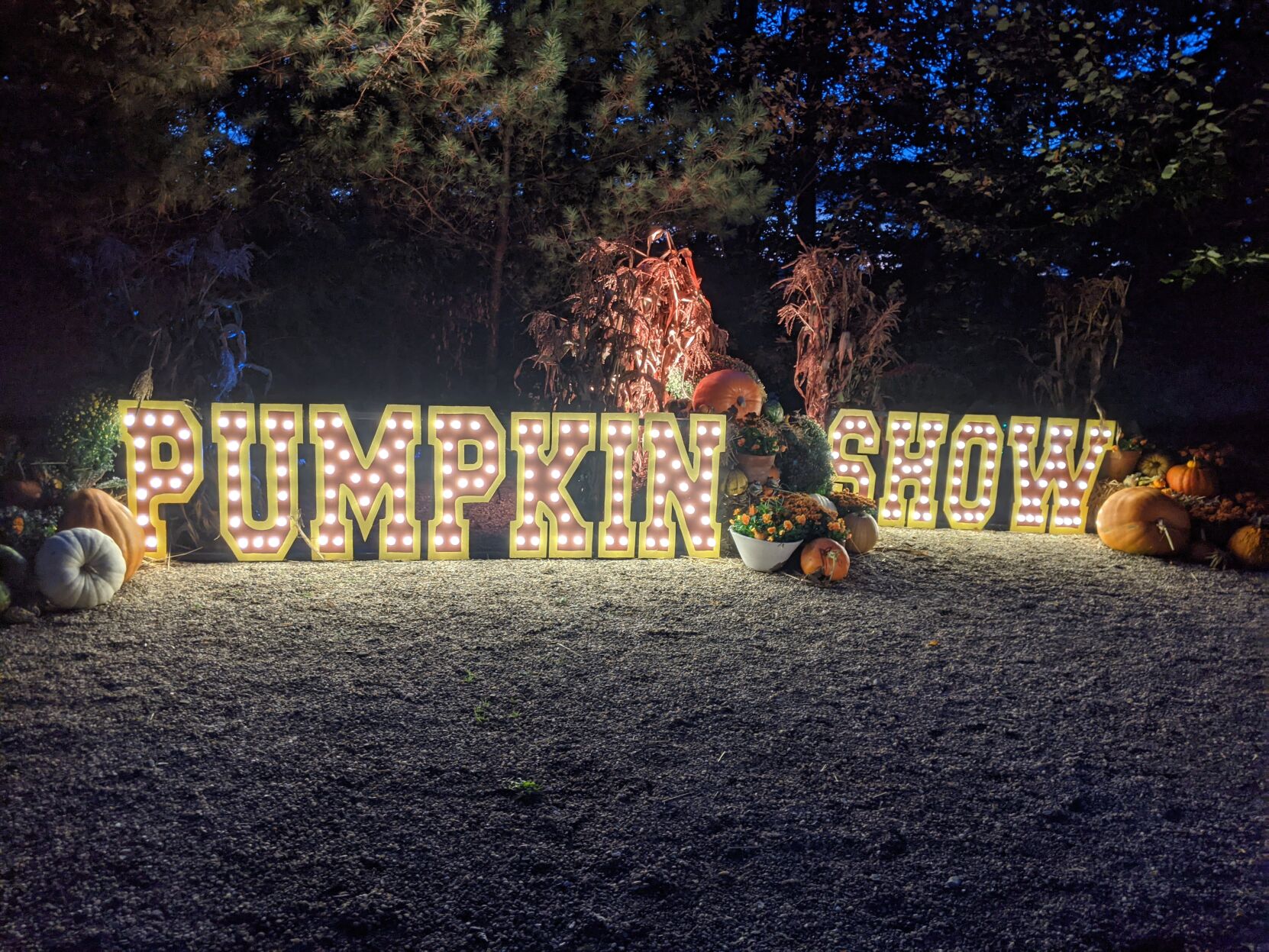 Pumpkin Show Sign